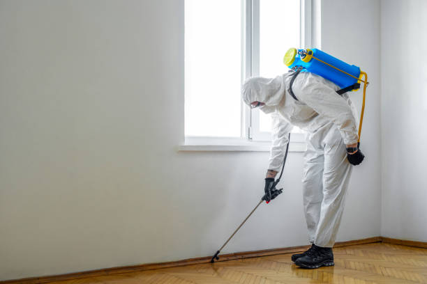 Best Best Pest Control Companies  in Ligh, NE